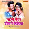 About Naikhe Nature Thik Re Didiya Song